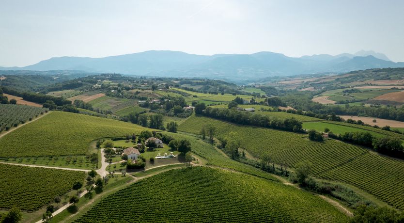 Photo of In The Abruzzo Bloom