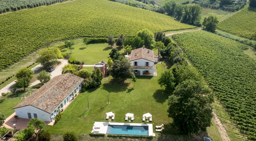 Photo of In The Abruzzo Bloom