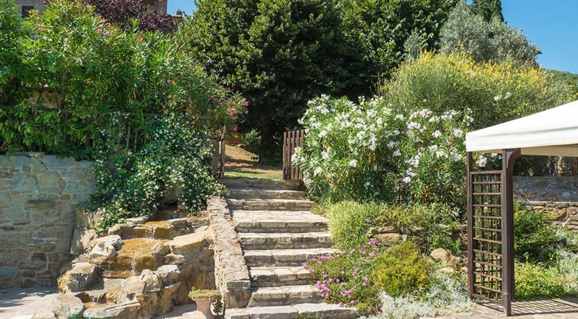 Photo of Wild Rosemary