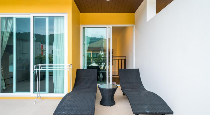 Photo of Paradise Palm