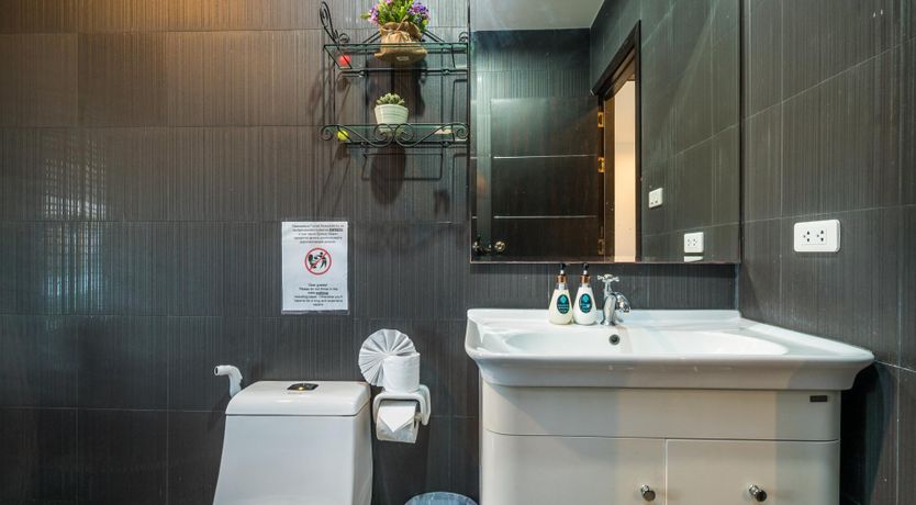 Photo of Paradise Palm