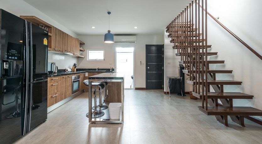 Photo of Paradise Palm