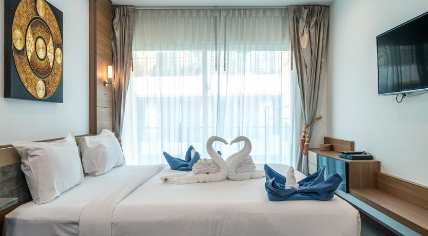 Photo of Paradise Palm