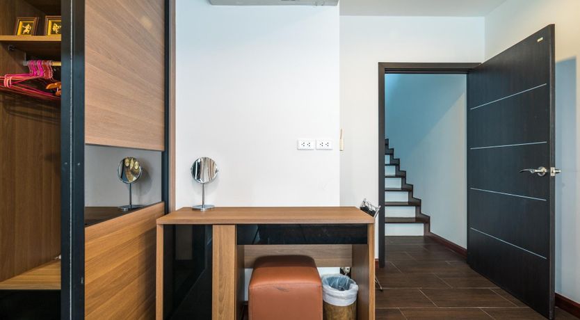 Photo of Paradise Palm