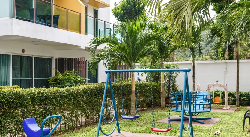 Photo of Paradise Palm