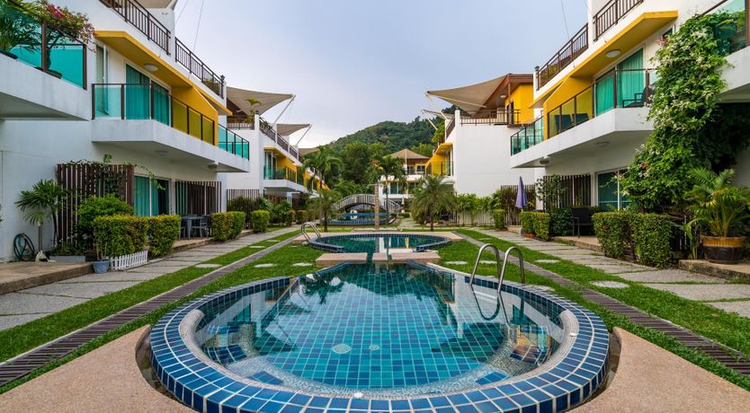 Photo of Paradise Palm