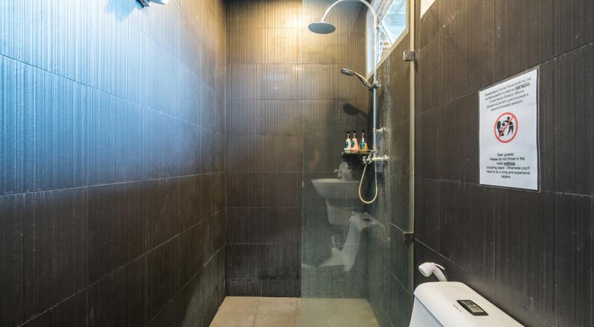 Photo of Paradise Palm