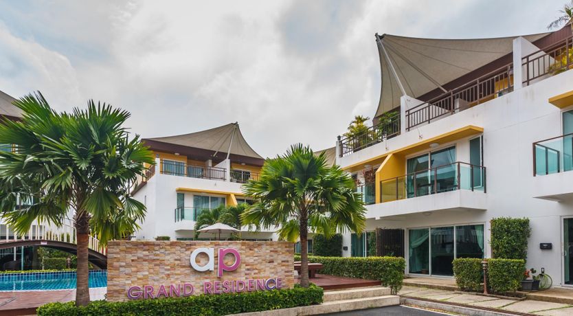 Photo of Paradise Palm