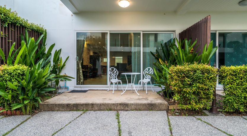 Photo of Paradise Palm