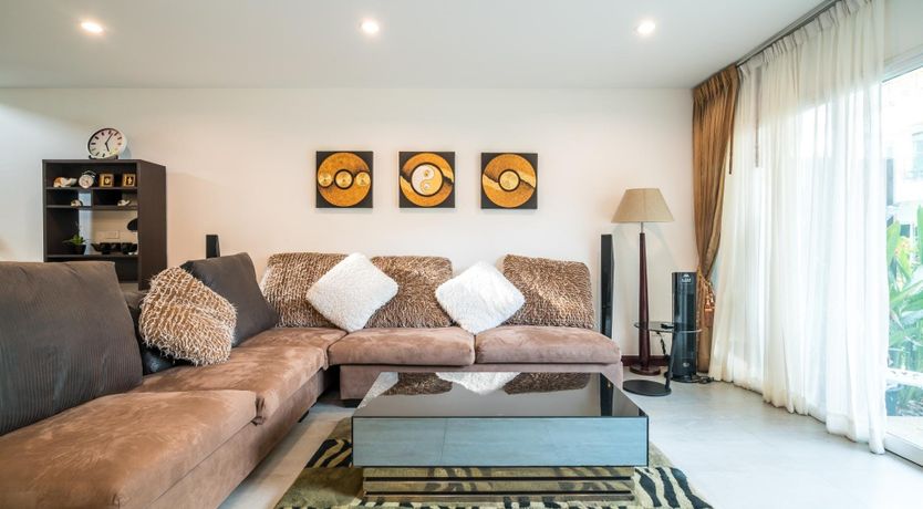 Photo of Paradise Palm