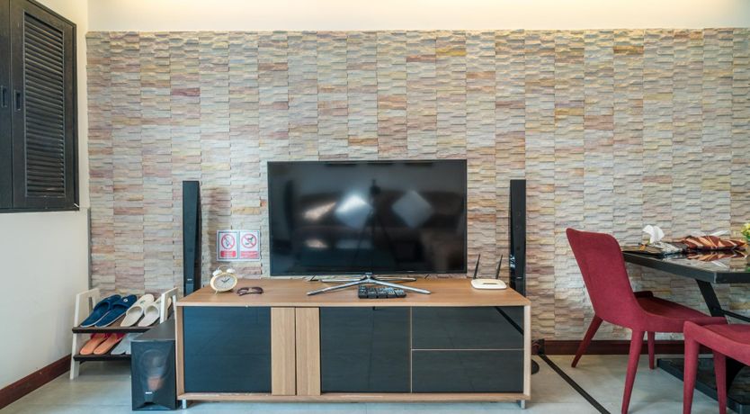 Photo of Paradise Palm