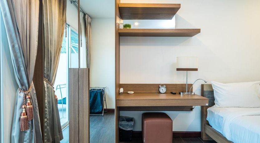 Photo of Paradise Palm