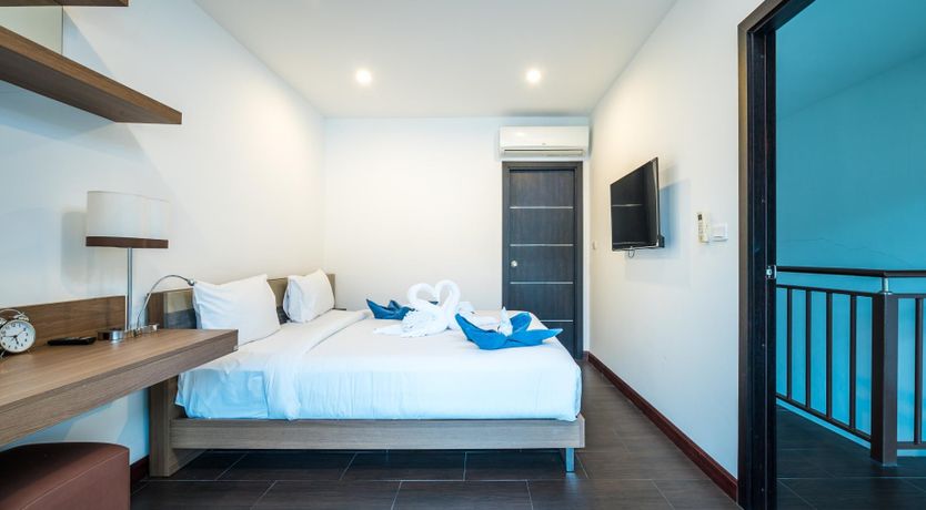 Photo of Paradise Palm