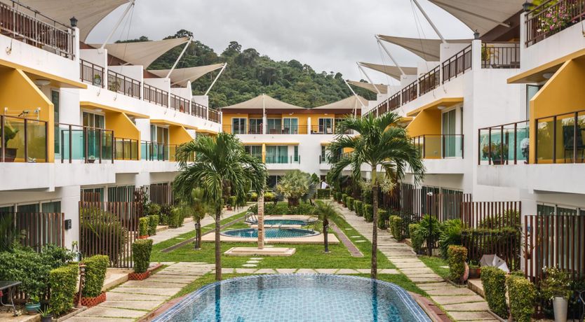 Photo of Paradise Palm