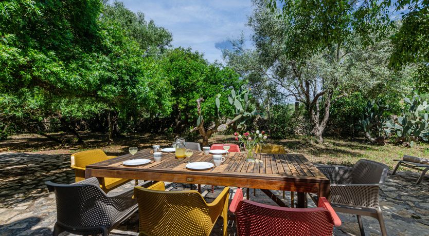 Photo of Mallorcan Moment