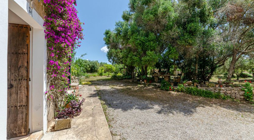 Photo of Mallorcan Moment