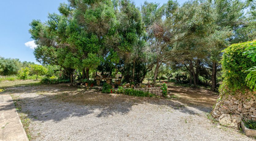 Photo of Mallorcan Moment