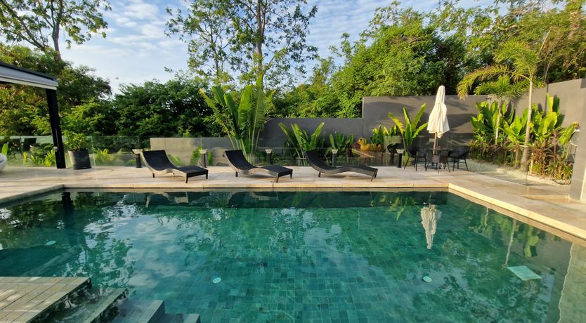 Photo of Shimmering Reflections