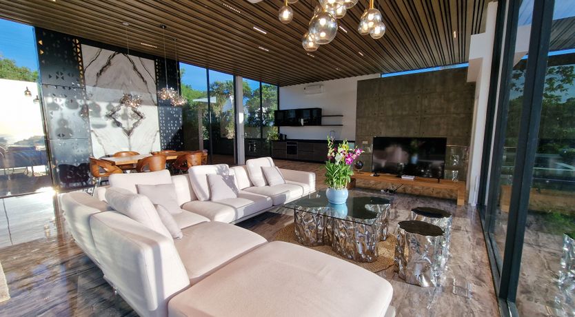 Photo of Shimmering Reflections