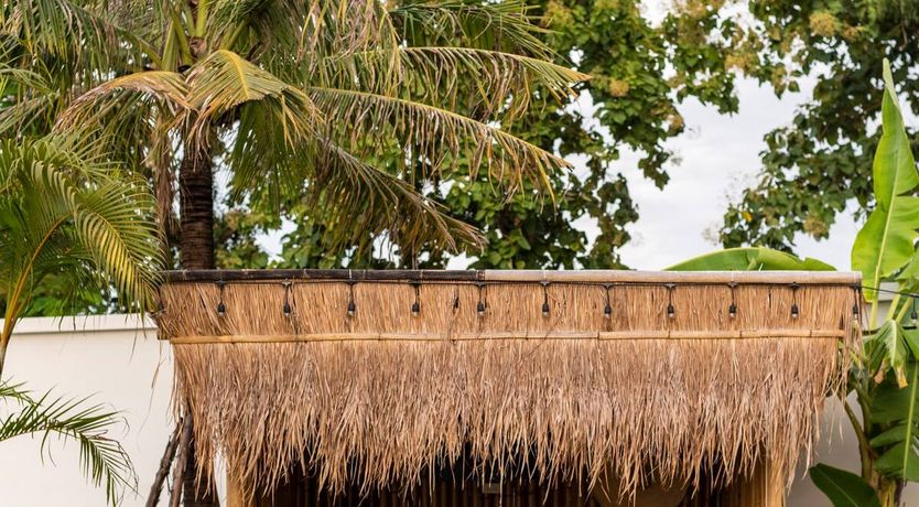 Photo of The Mystical Dream