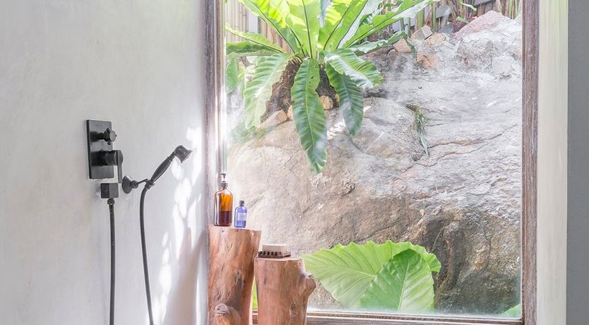 Photo of Treasure In The Treetops