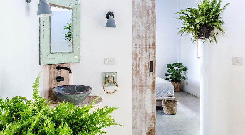 Photo of Treasure In The Treetops