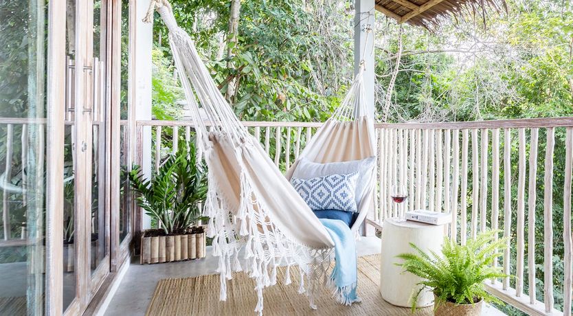 Photo of Treasure In The Treetops