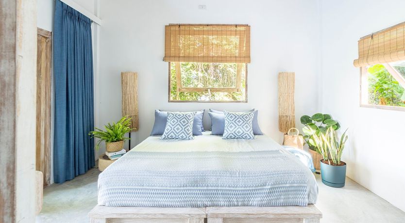 Photo of Treasure In The Treetops