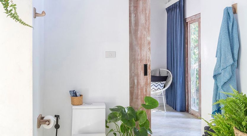 Photo of Treasure In The Treetops