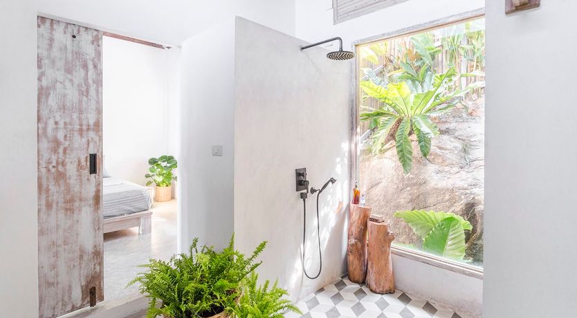 Photo of Treasure In The Treetops