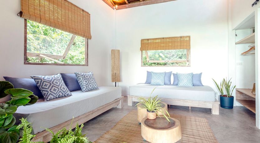 Photo of Treasure In The Treetops