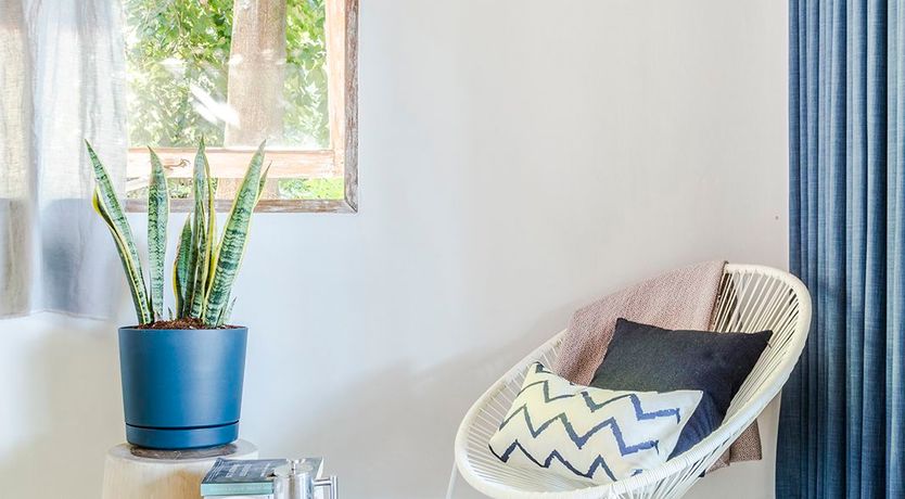 Photo of Treasure In The Treetops