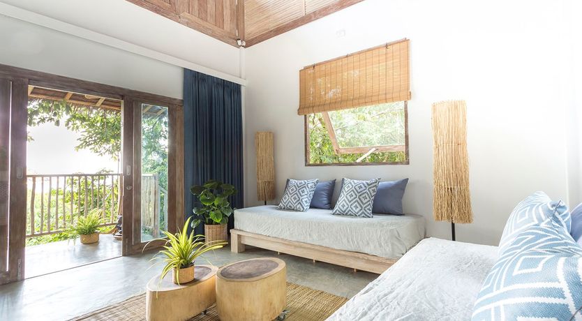 Photo of Treasure In The Treetops