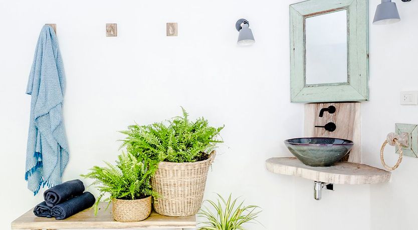 Photo of Treasure In The Treetops