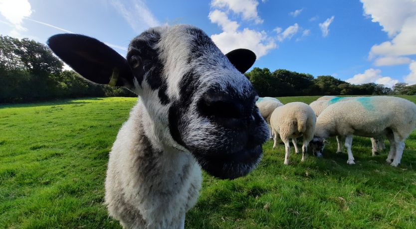Photo of Linhay, Swimbridge