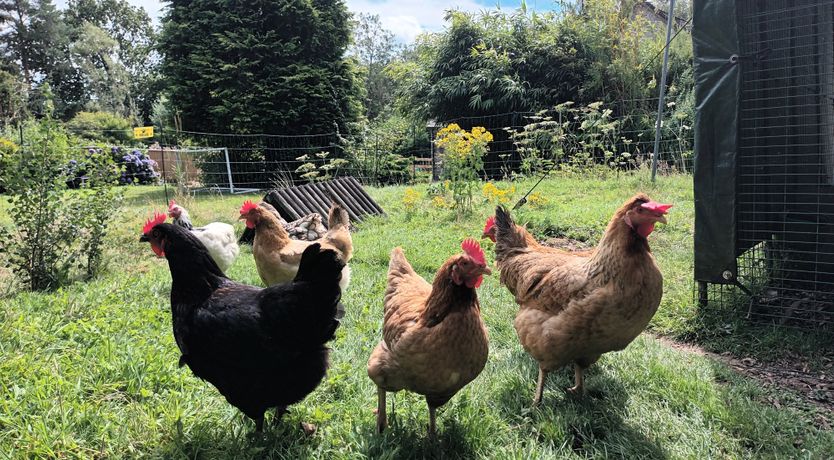 Photo of Linhay, Swimbridge