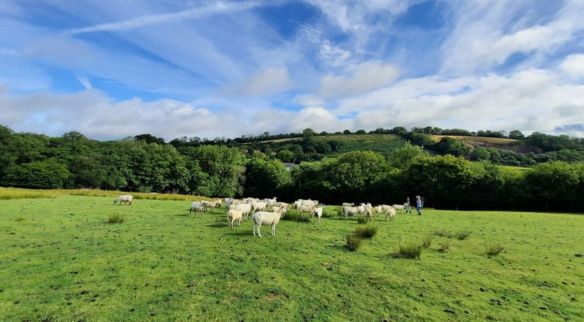 Photo of Linhay, Swimbridge