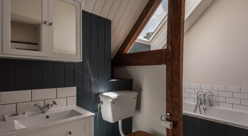 Photo of Swifts & Swallows