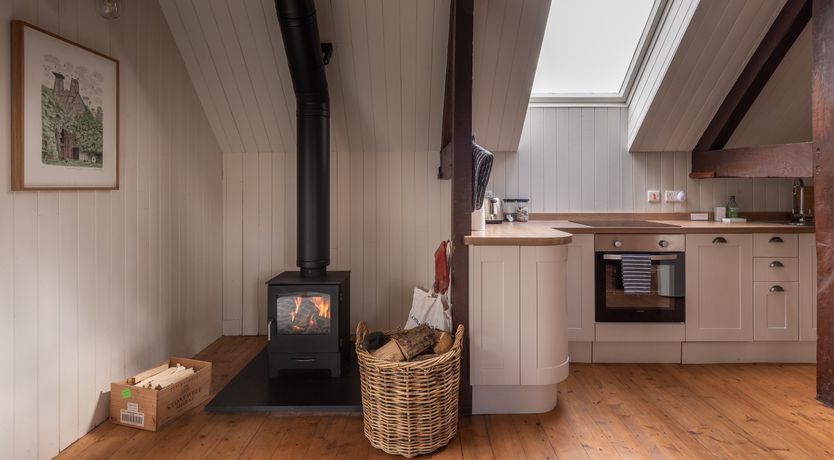 Photo of Swifts & Swallows