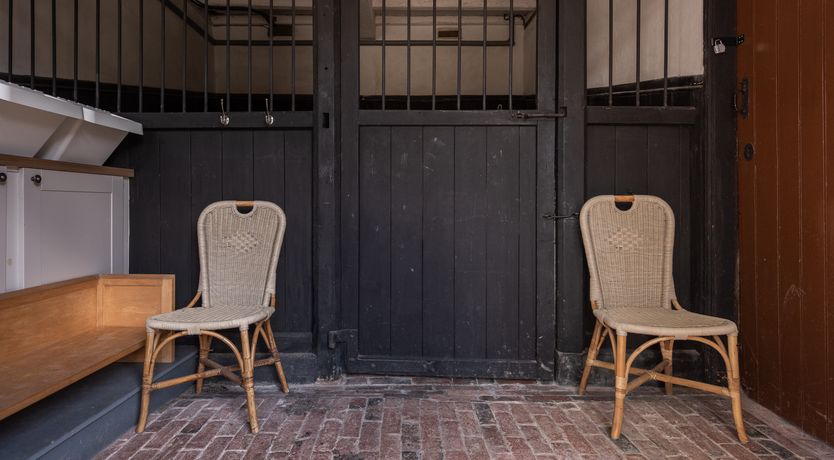 Photo of Swifts & Swallows