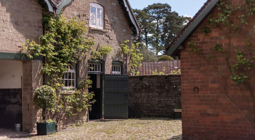 Photo of Swifts & Swallows