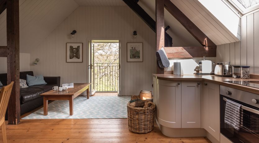 Photo of Swifts & Swallows