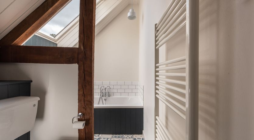 Photo of Swifts & Swallows