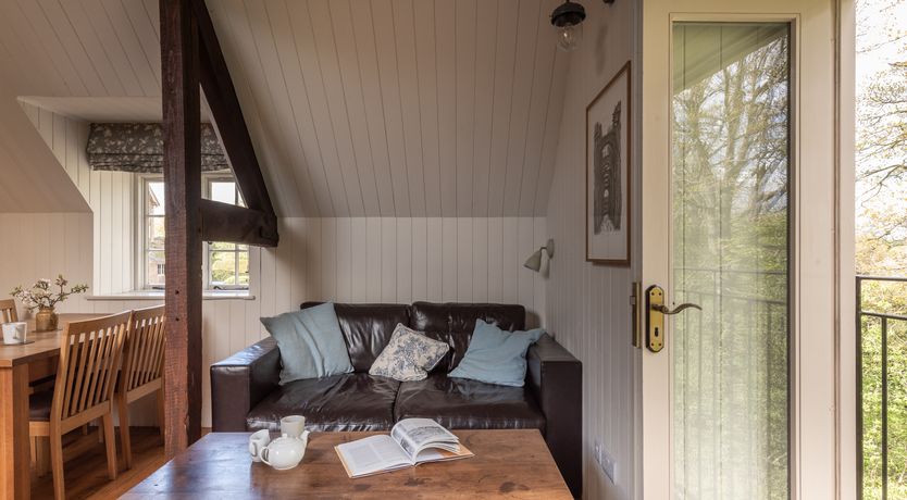 Photo of Swifts & Swallows