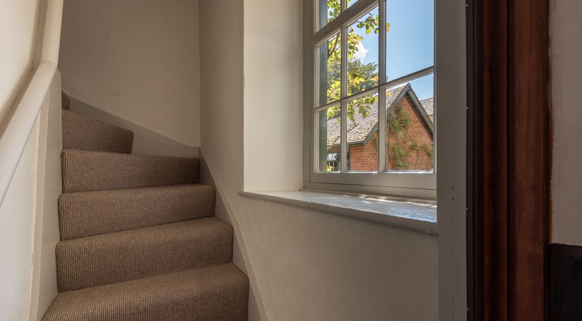 Photo of Swifts & Swallows