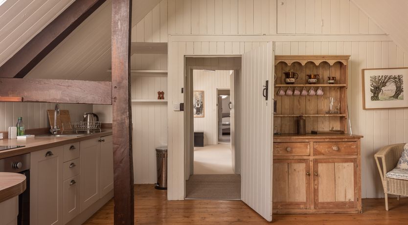 Photo of Swifts & Swallows