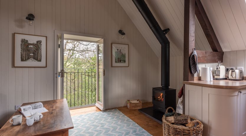 Photo of Swifts & Swallows