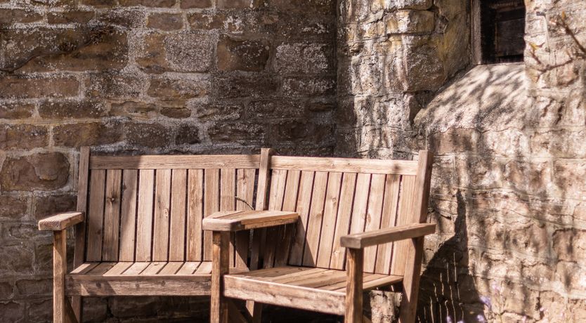 Photo of Swifts & Swallows