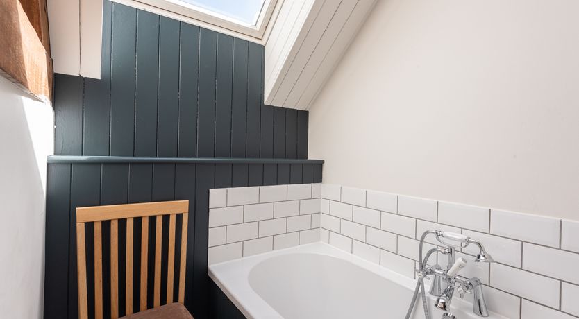 Photo of Swifts & Swallows