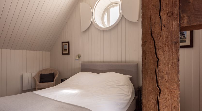 Photo of Swifts & Swallows